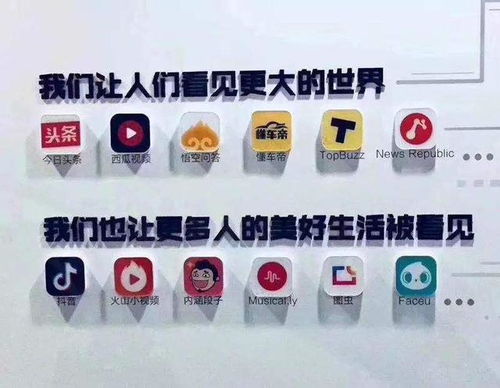 今日头条品牌升级 谈品牌管理的四种模式